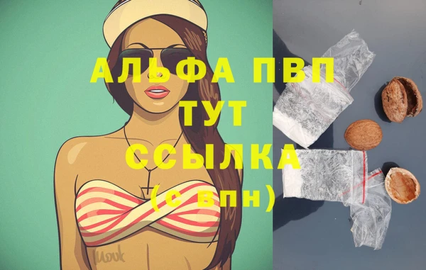 индика Абаза