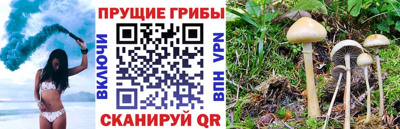 магазин    Ухта  Галлюциногенные грибы Magic Shrooms 