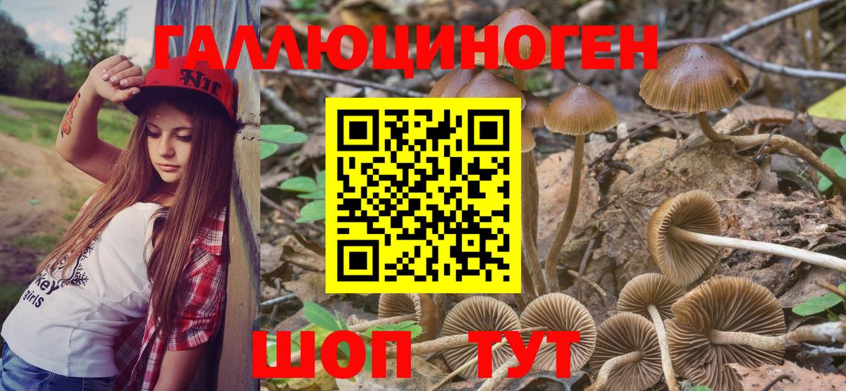 Ухта  Псилоцибиновые грибы мицелий  Вход с VPN 